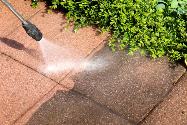 Best Exterior Home Cleaning  in South Duxbury, MA